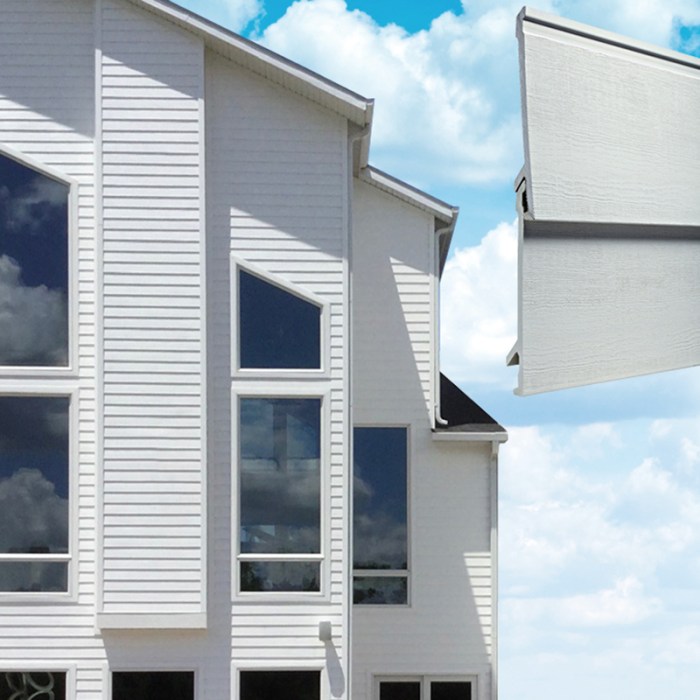 Everlast siding